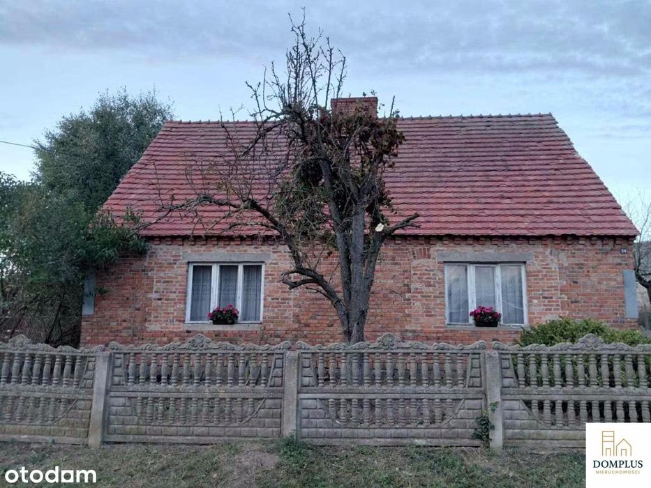 Urokliwe siedlisko w Ryżynie, gm. Chrzypsko Wielkie.