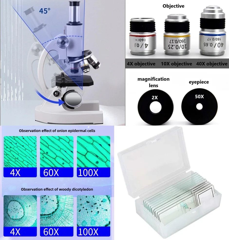 Mikroskop edukacyjny biologiczny