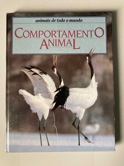 Comportamento Animal