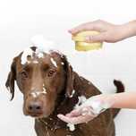 Luvas de Massagem/Escova de banho para Cães e Gatos.