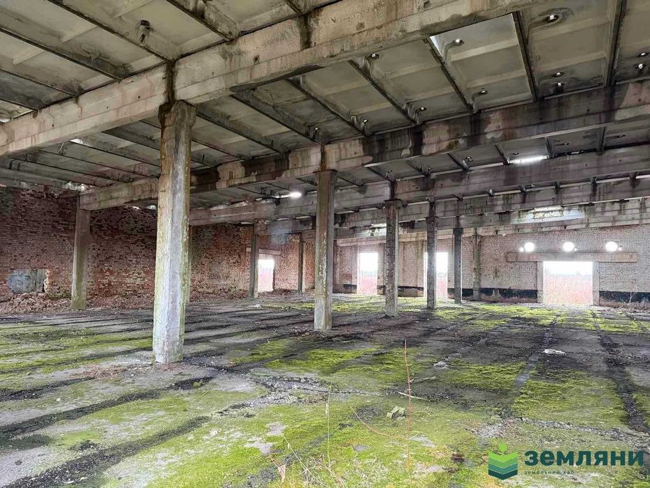 Продається виробничо-складське приміщення в с.Братківці (6)