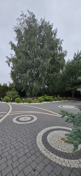 Dom na sprzedaż o pow.190m2