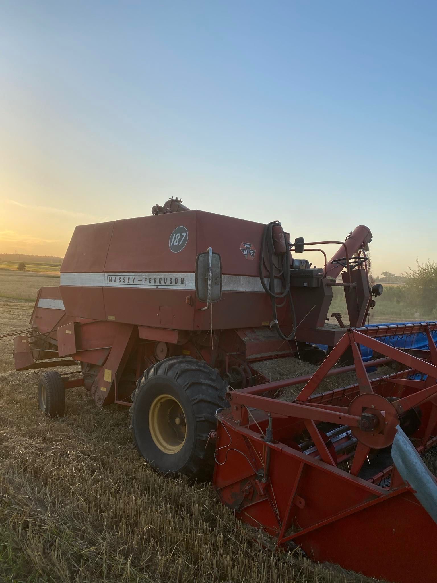 Kombajn zbożowy  Massey Ferguson 187