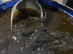 Фуз соняшниковий