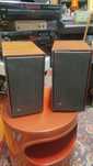 Par de colunad B&O Beovox 500 type 6207 anos 60 Bang& Olufsen
