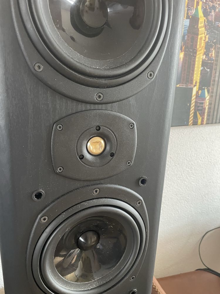Kolumny Tannoy D30 633