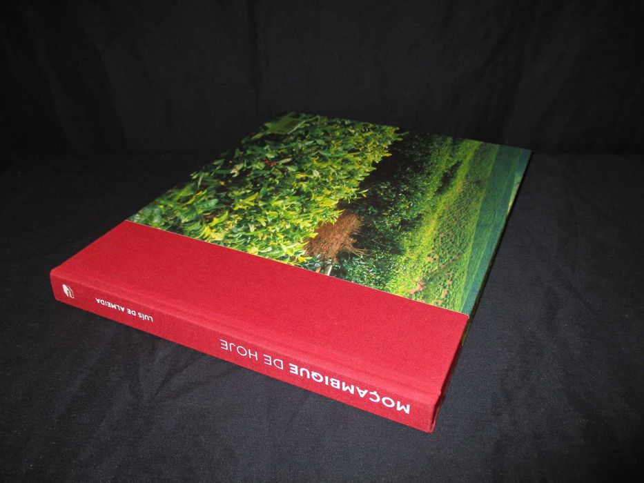 Livro Moçambique de Hoje Luís de Almeida Porto Editora