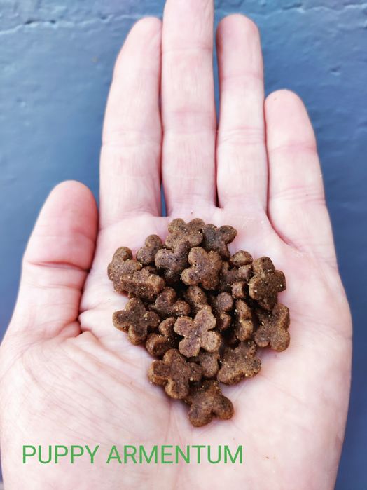 Ração Puppy & Júnior || SUPER PREMIUM || Excelente qualidade !!