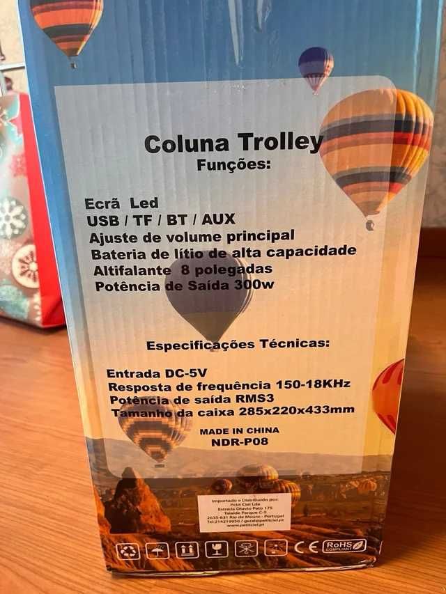 Coluna Trolley LED 8" 300W c/ Microfone sem fios - Novo