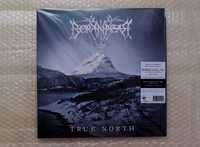 Borknagar – “True North”. Winyl. Nowa