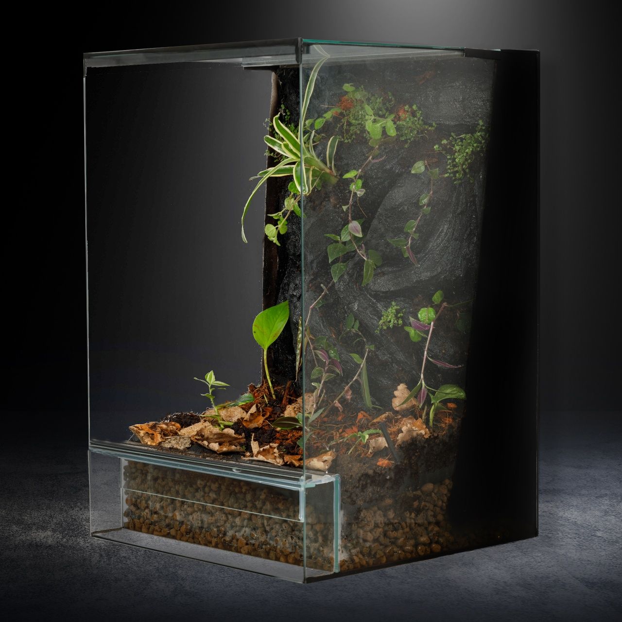 Terrarium 40x40x60 gekon jaszczurka tropikalne