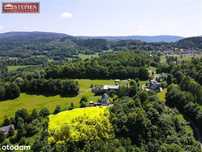 Działka w Bukowcu- 4585 m²