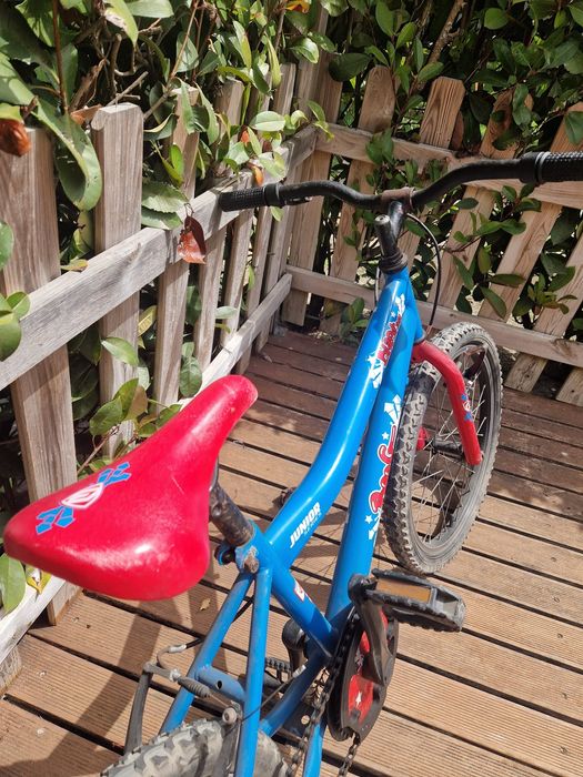 Bicicleta criança rapaz