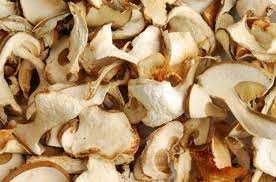 белые сушенные грибы/білі сушені гриби