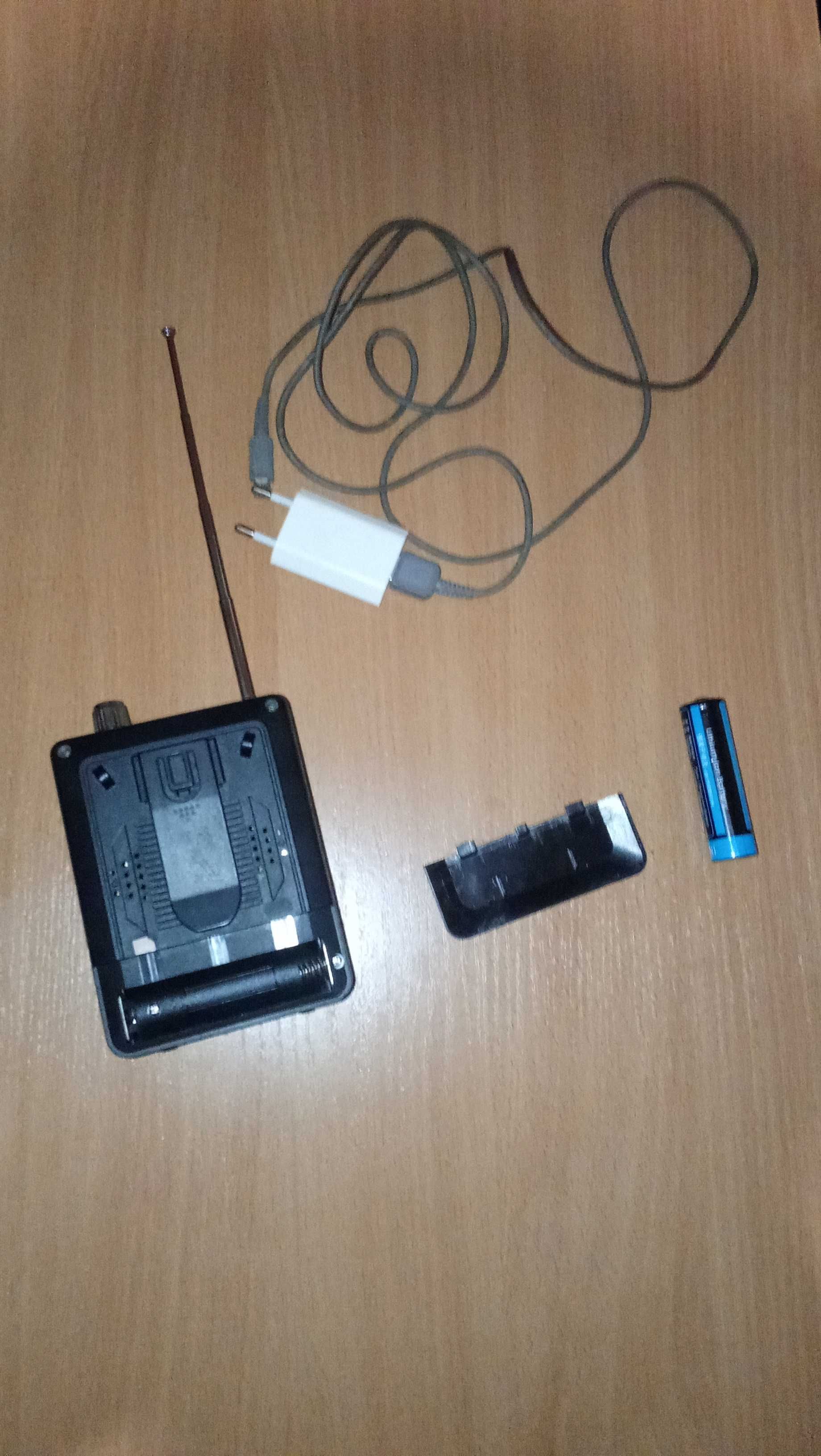 Портативная колонка SAST N-717 с USB, mini SD картой и FM-тюнером