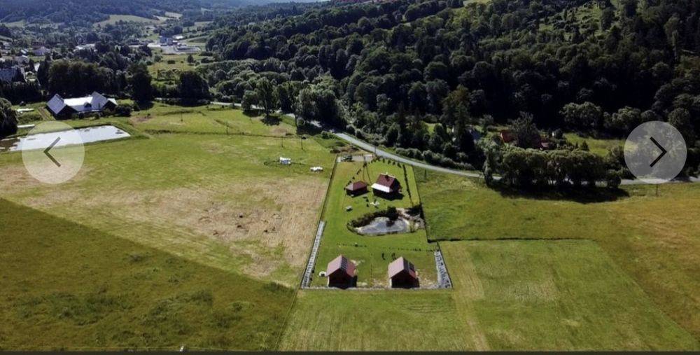 Siedlisko w Bieszczadach