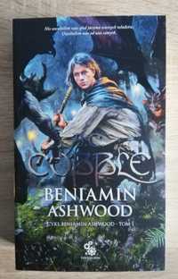 Beniamin Ashwood. Tom 1 - A.C. Cobble