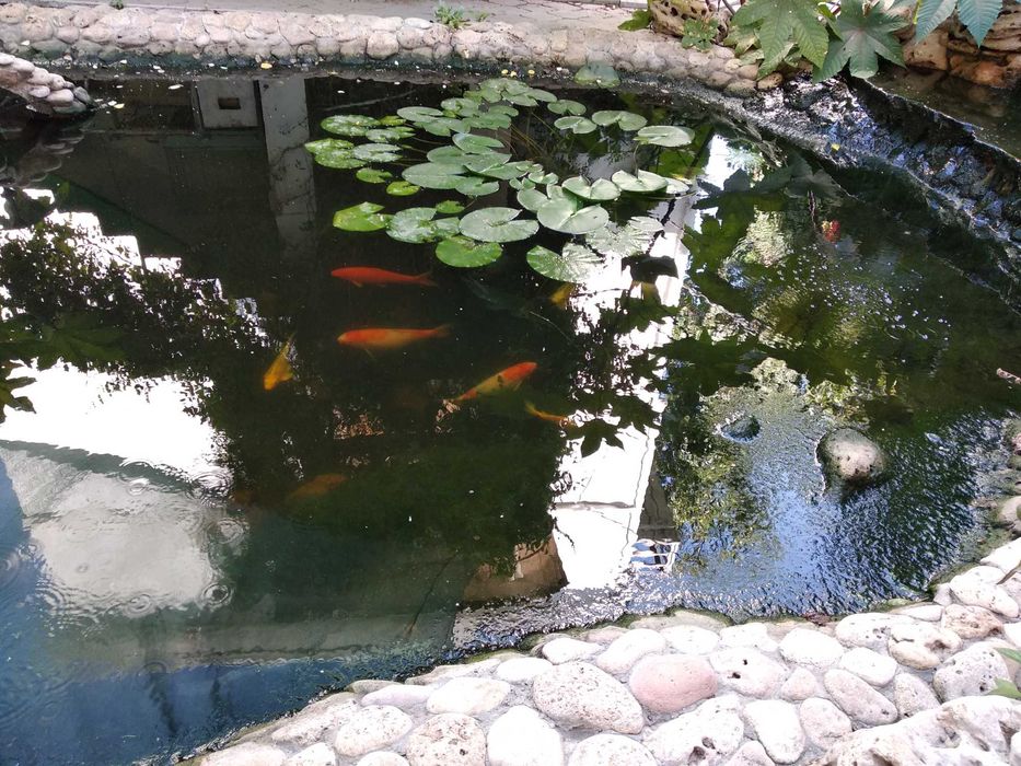 Сдам уютные комнаты у Золотого Берега — без посредников, от хозяйки!