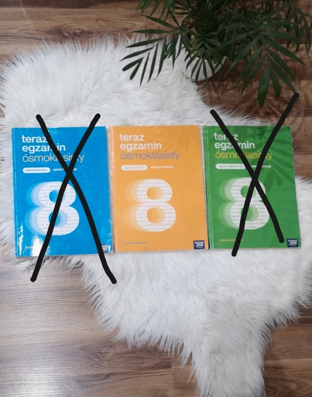 Repetutorium Język Polski Egzamin Ósmoklasisty