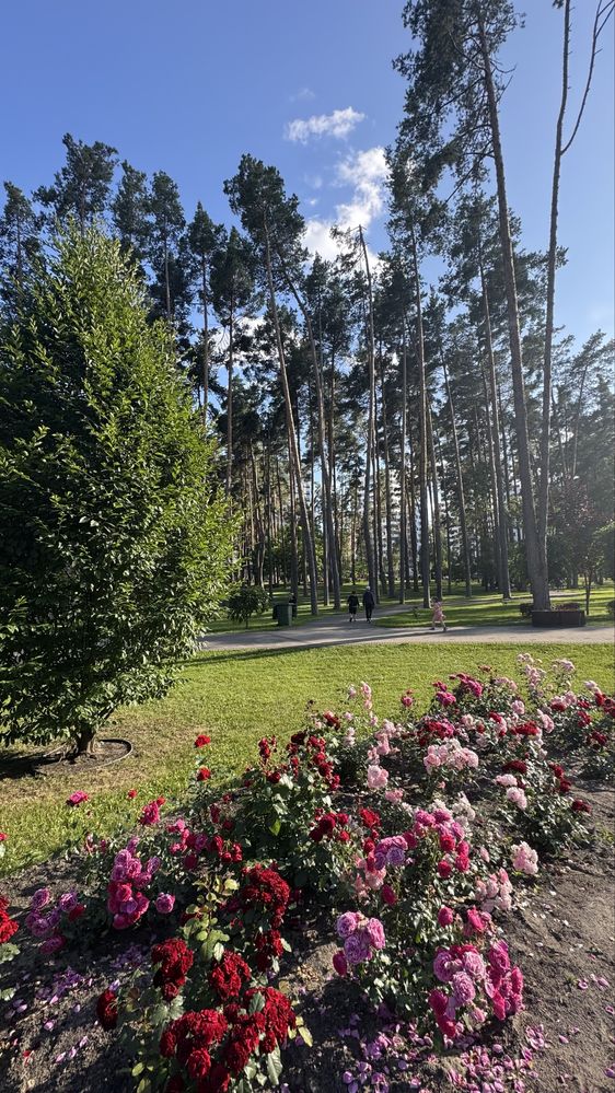 ЖК Чехов Парк! Видова 2к квартира 65м2 з видом у Парк