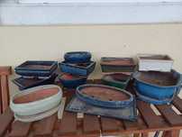 Vasos e bases pratos bonsai