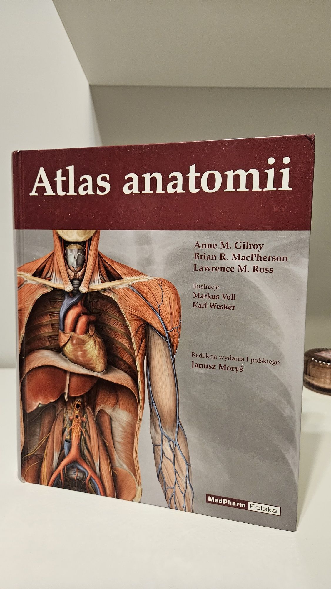 Atlas Anatomii Anne Gilroy Janusz Moryś Unikat