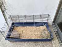 Gaiola para coelhos