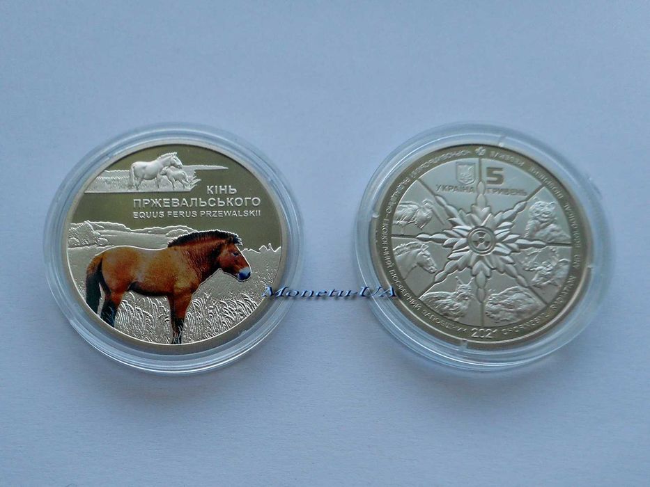 Чорнобиль Відродження Кінь Пржевальського НБУ 2021 Лошадь