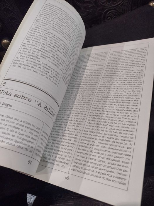A Sibila de Agustina Bessa Luís O Romance e a crítica