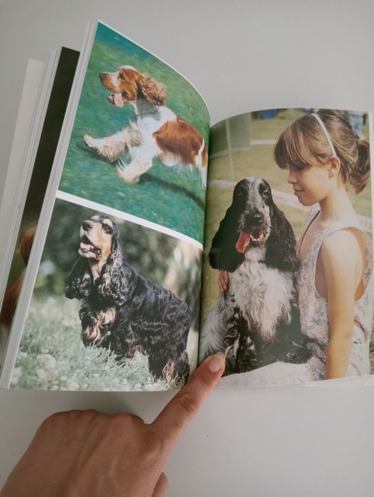 Livro O Cocker Spaniel