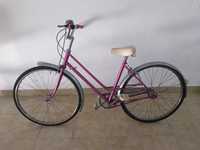 Bicicleta Pasteleira Antiga / Vintage