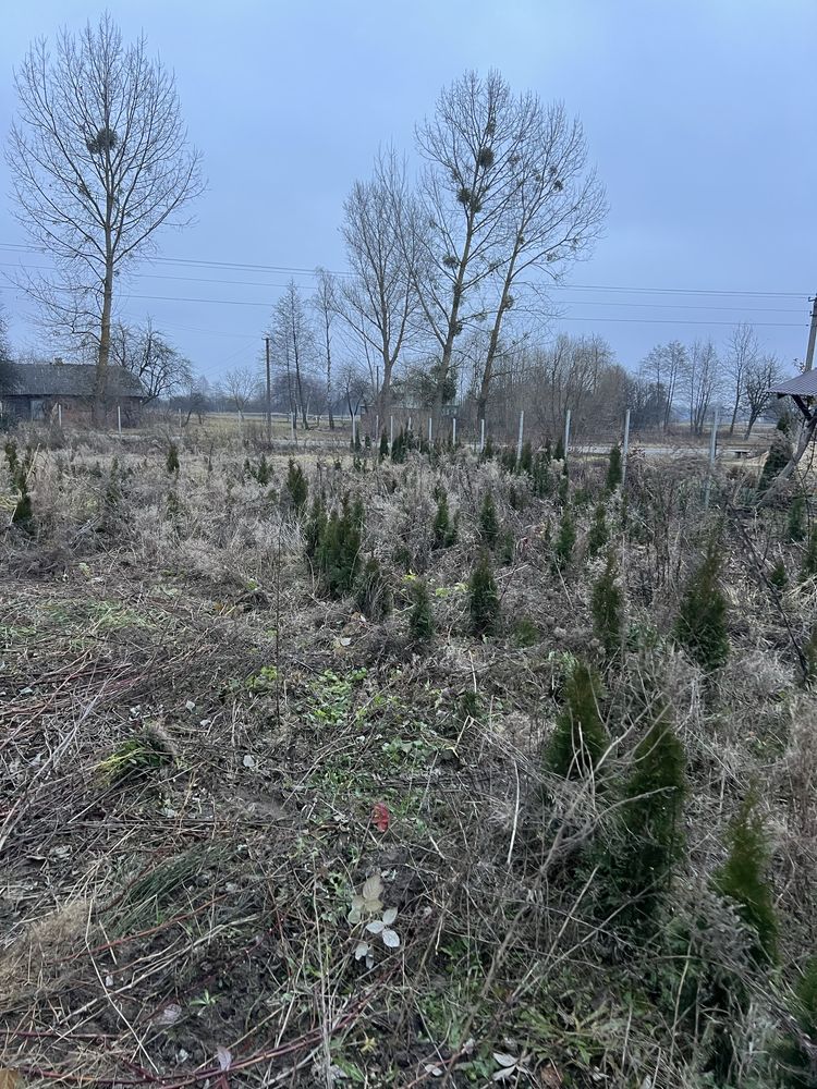 Будинок з землею 60 соток