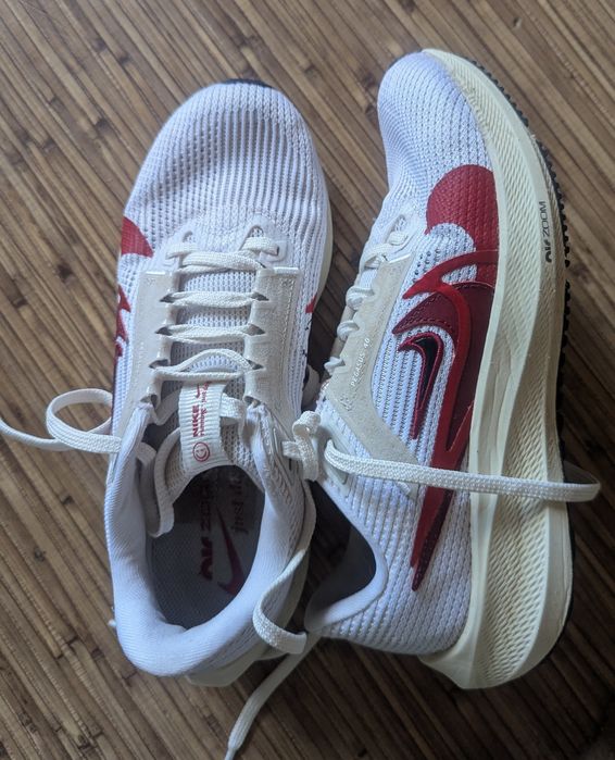 Бігові кросівки Nike Pegasus 40