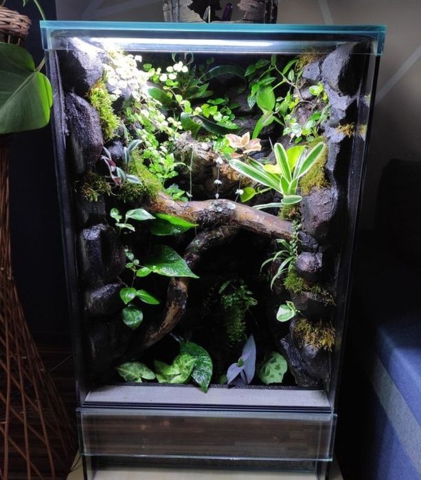 Terrarium tropikalne 40x40x60 gekon