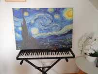 Obraz do pokoju - The Starry Night