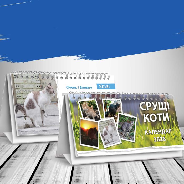 Календар настільний будиночок на 2026 рік - "Срущі коти"