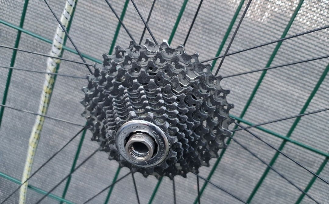 Koła Campagnolo Zonda Disc