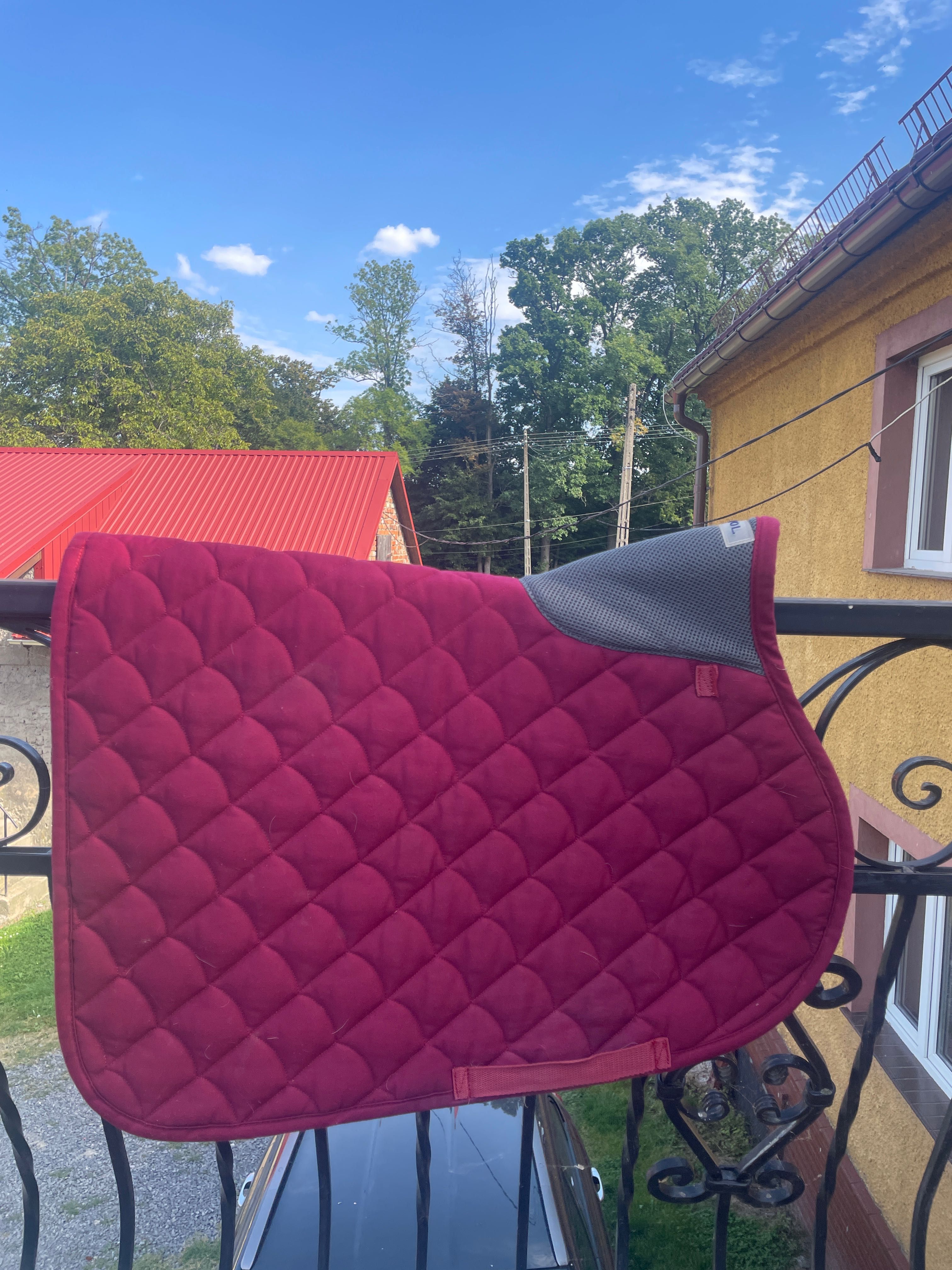 Czaprak torpol i eskadron
