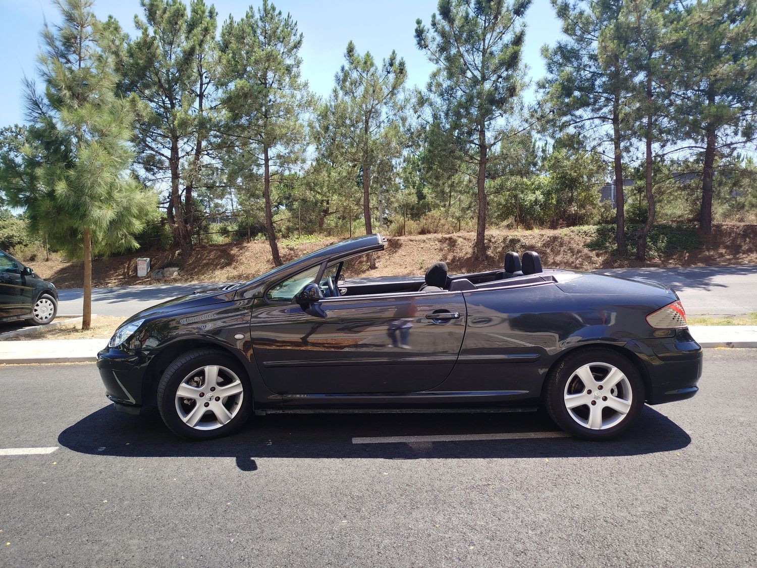Peugeot 307cc de 2005 1.6 gasolina impecável