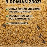 Sprzedam mieszankę paszową dla ptactwa