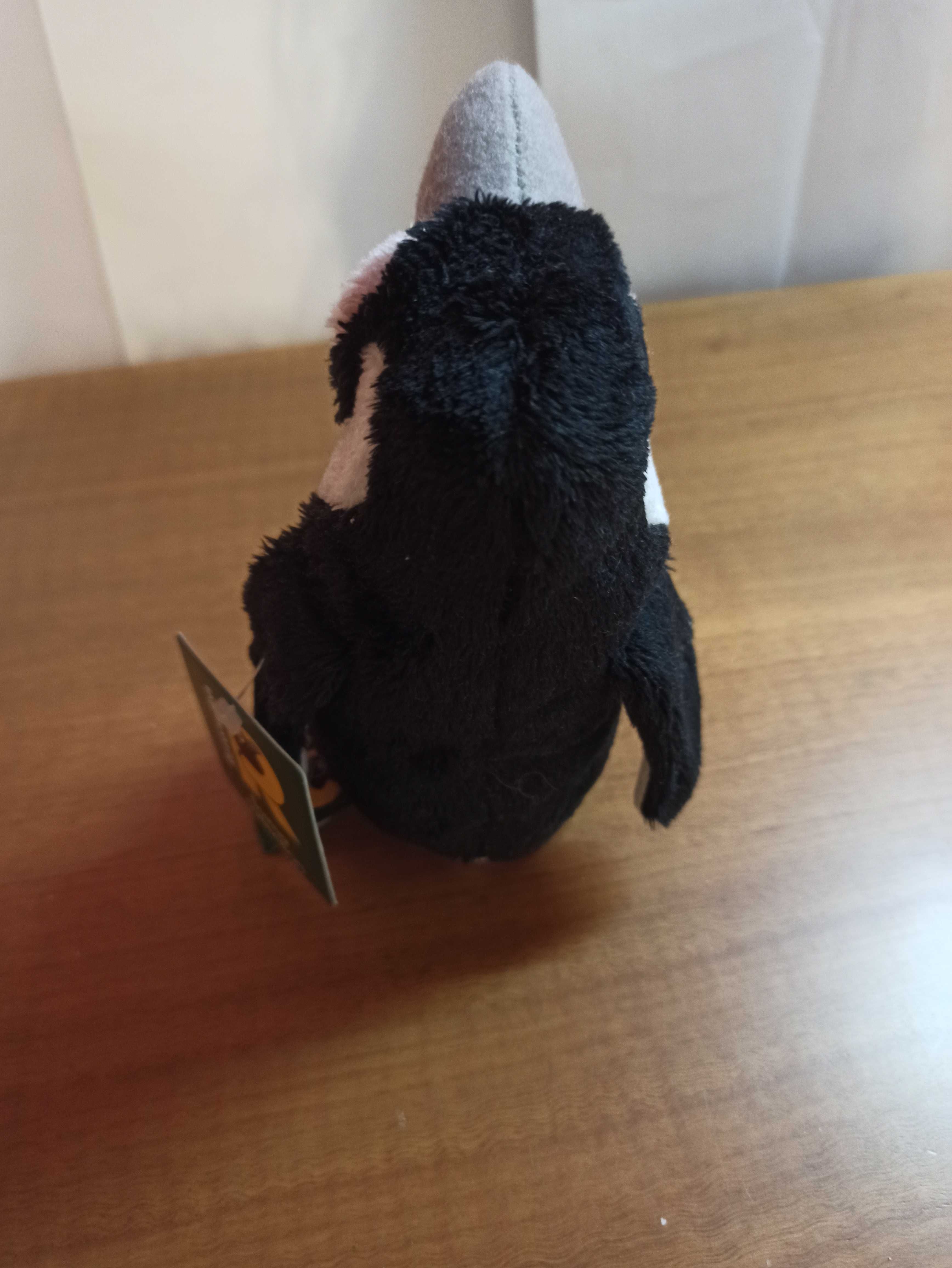 Peluche pinguim NOVO