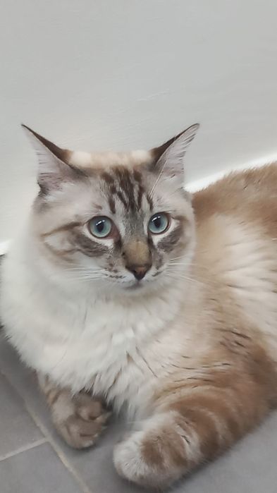 Doação responsável