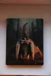 Far Cry Primal Xbox One Steelbook
