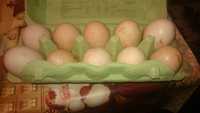 Świeże jaja wiejskie z ekologicznego chowu