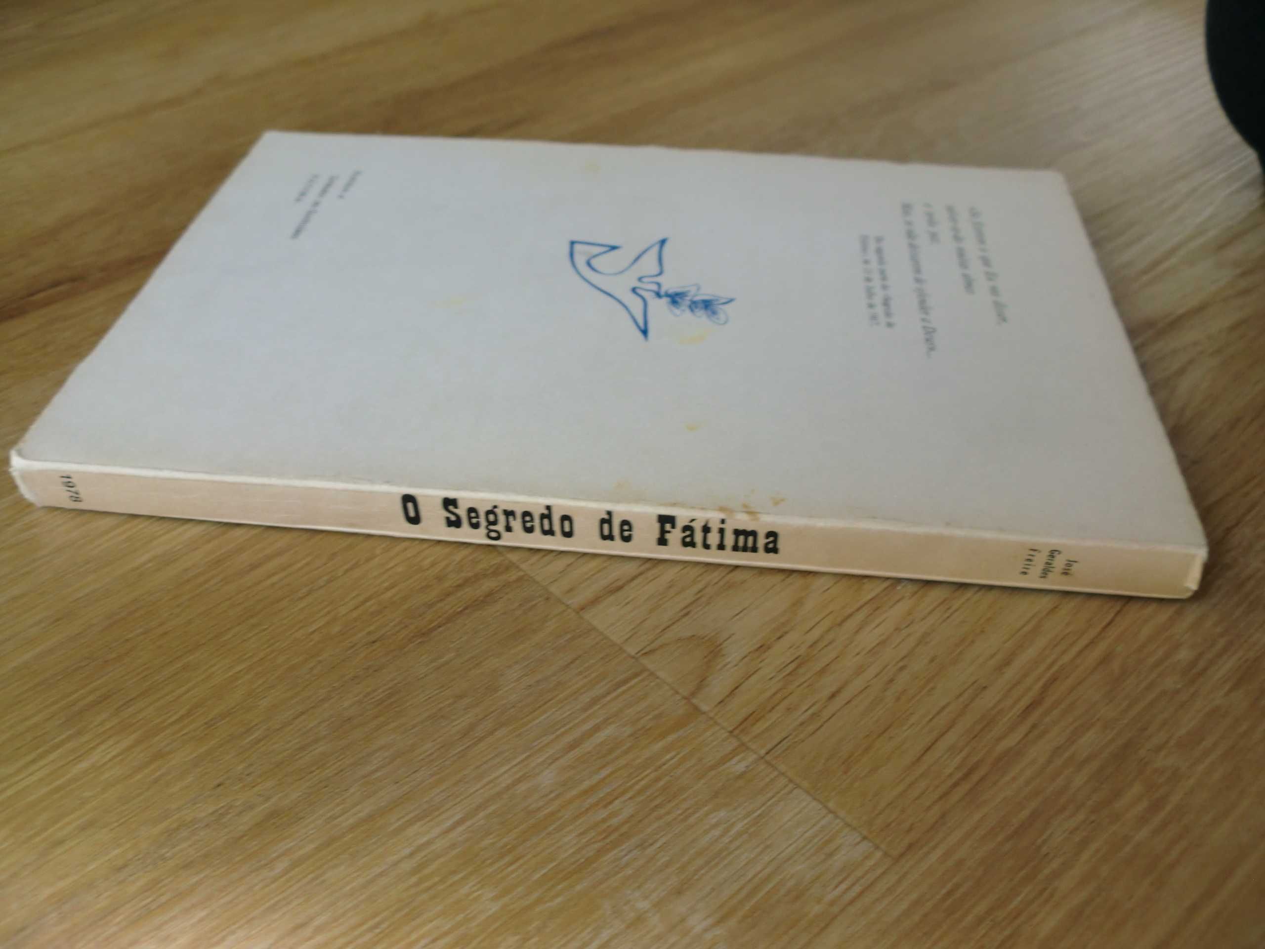 O Segredo de Fátima
de José Geraldes Freire