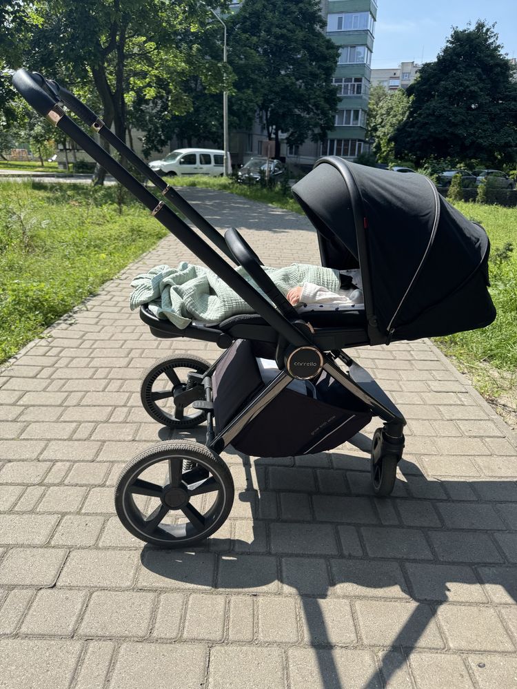 Carrello Ultimo 2024