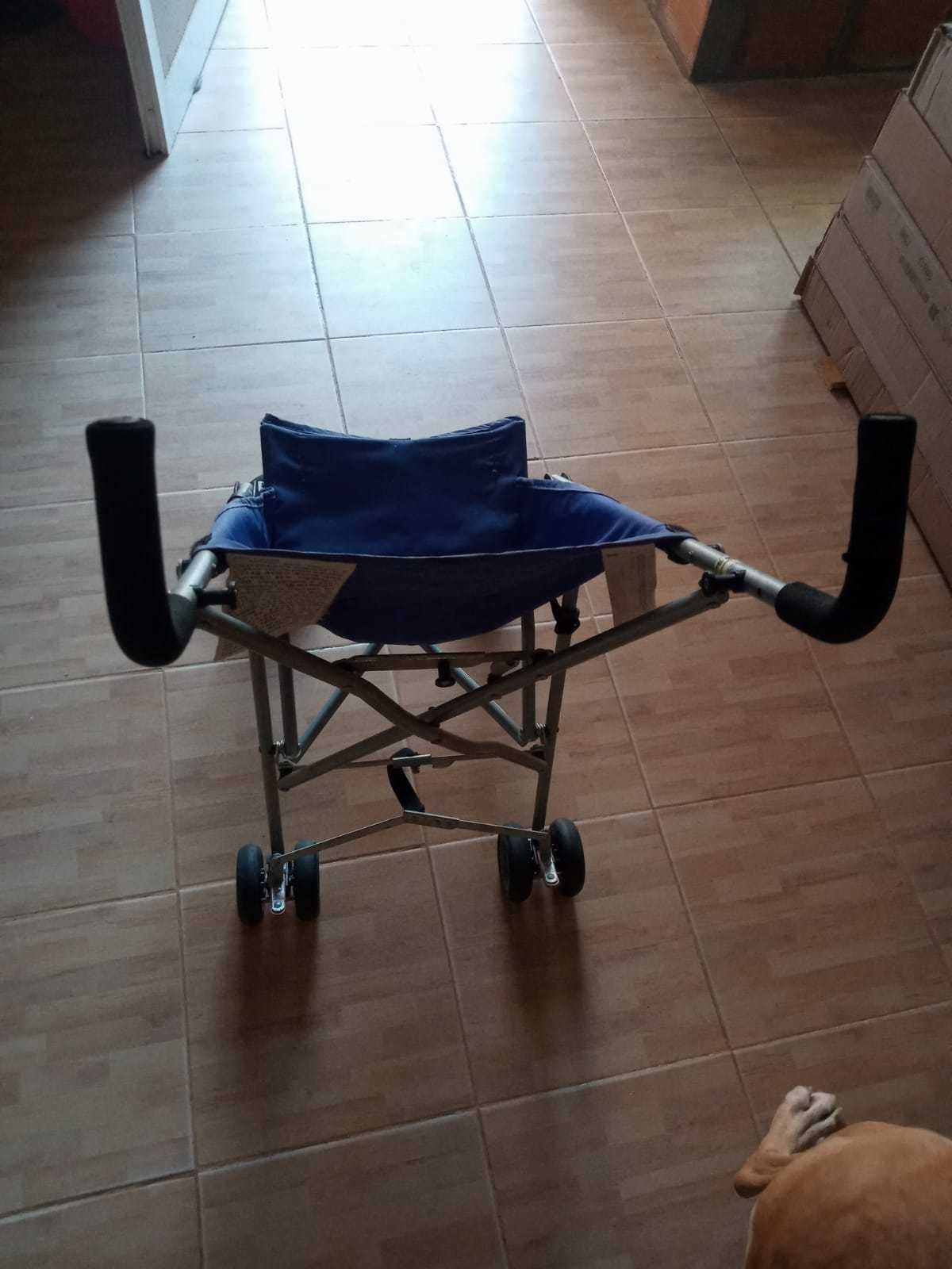 Carrinho de passeio