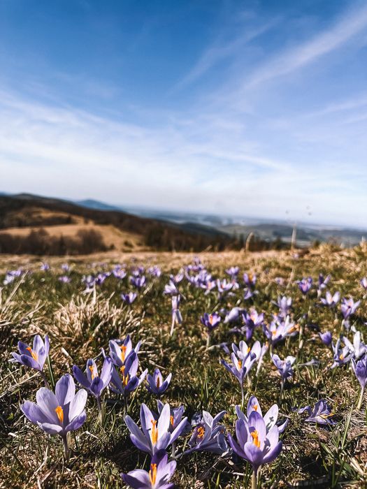 Джип тури в Карпатах (Буковель, Микуличин)