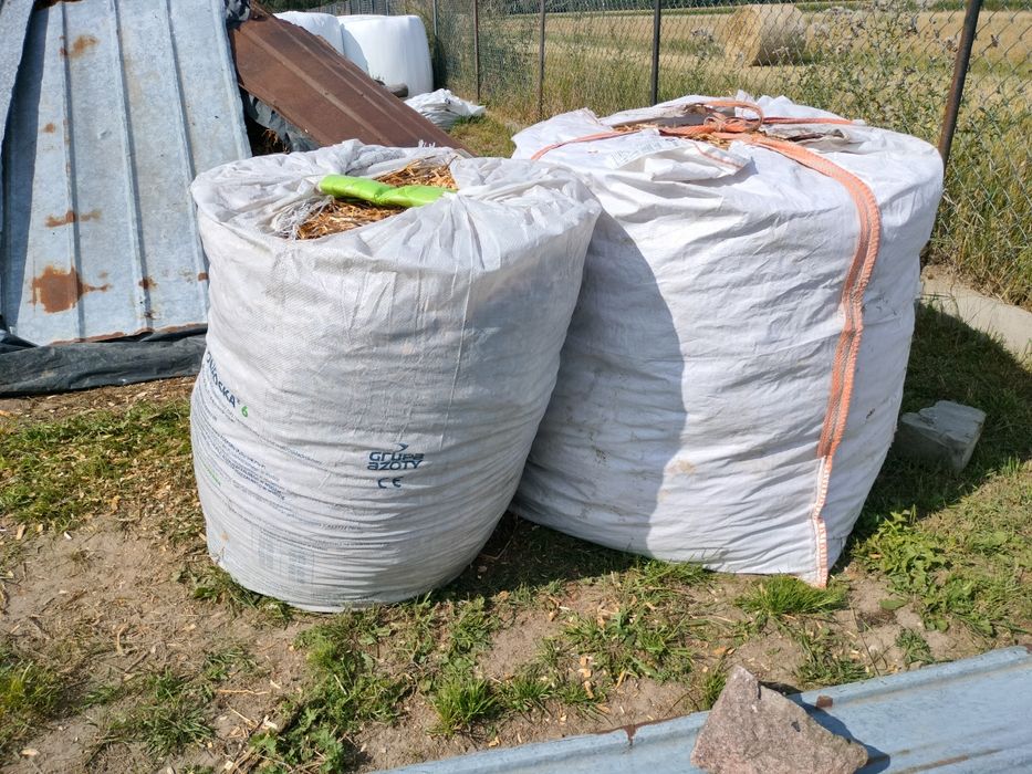 Zrębka leśna wieksza ilość oraz drzewo opałowe brzoza