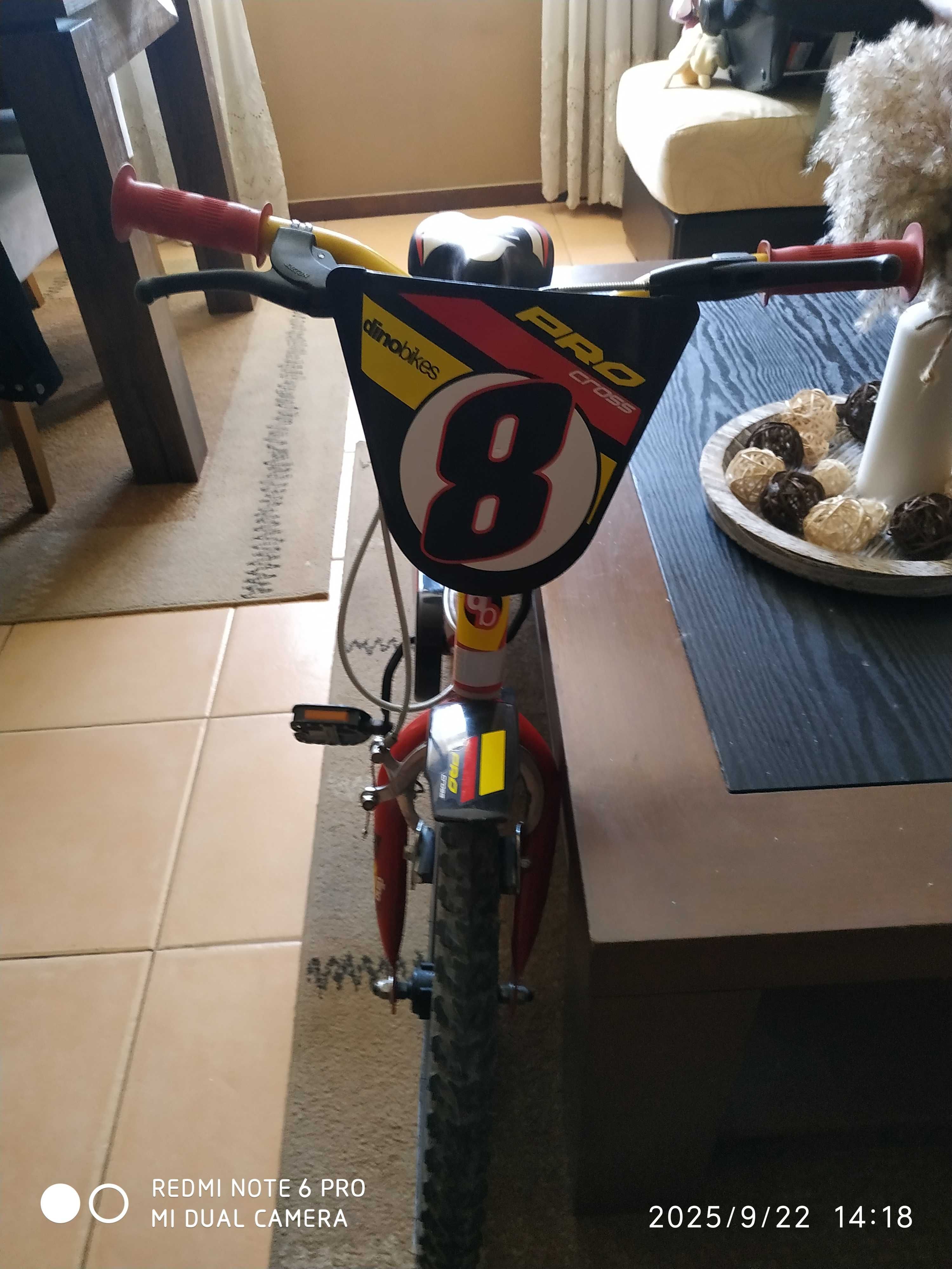 Bicicleta de criança